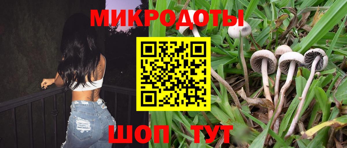Галлюциногенные грибы мицелий  Вход с VPN  Псилоцибиновые грибы Psilocybine cubensis  Донецк 